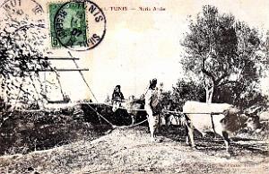 Puits typiques d'AFN - 044